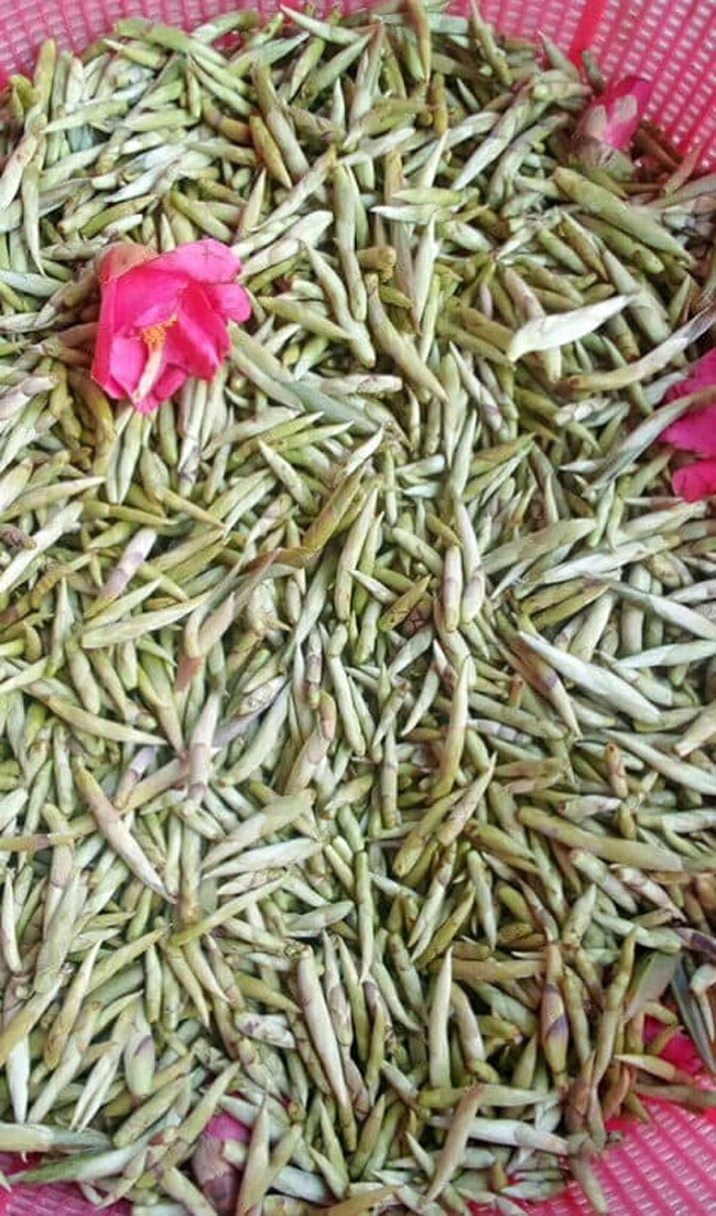 Loại trà chỉ có ở TQ, nay tìm thấy tại Việt Nam-17