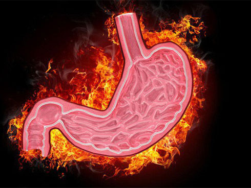 Ăn tiết canh lợn, người đàn ông nhập viện trong tình trạng nguy kịch-3