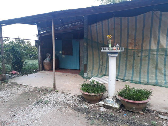 Lời khai lạnh người của 2 anh em thay phiên nhau dùng vũ lực hiếp dâm cháu gái ruột suốt 2 năm-2