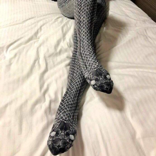 Hai con rắn trên đệm trắng khiến chàng trai khiếp hãi khi bước vào phòng-2