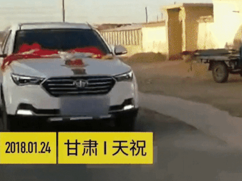 Những khoảnh khắc thú cưng trung thành với chủ đến giây phút cuối cùng gây xúc động nhất năm 2018-1