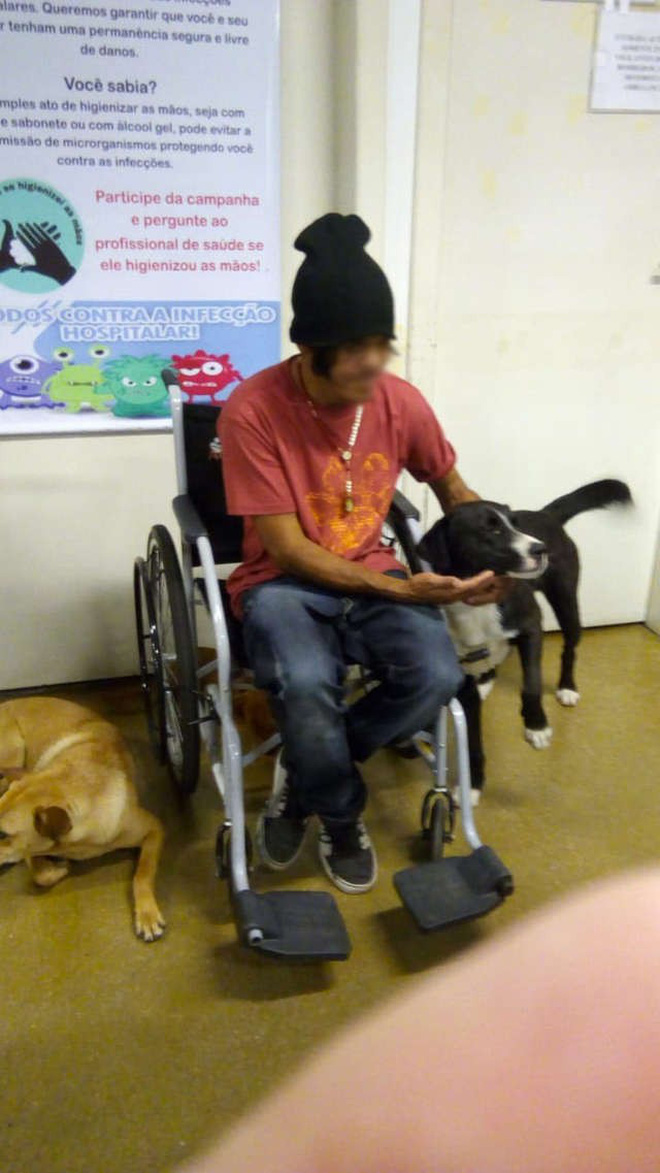 Những khoảnh khắc thú cưng trung thành với chủ đến giây phút cuối cùng gây xúc động nhất năm 2018-5