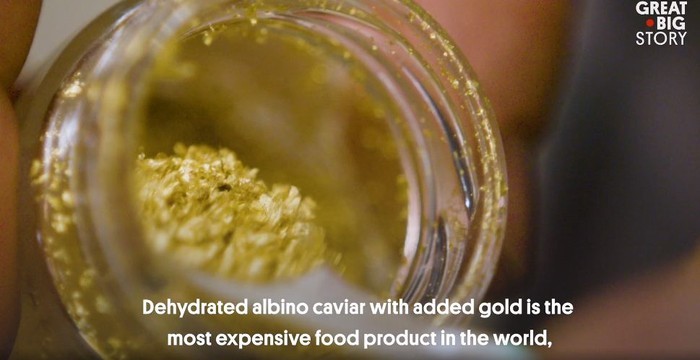 Hộp trứng cá muối giá cao hơn một chiếc Porsche 911 có gì lạ?-5