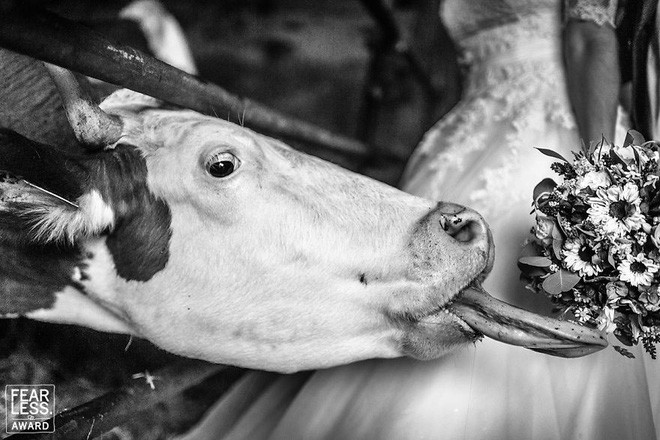 Nước mắt, nụ cười và cả sự cố khó đỡ làm nên những bức ảnh cưới đẹp nhất năm 2018!-14