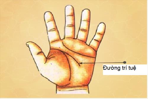 Muốn biết chính xác bao nhiêu tuổi lấy chồng, chỉ cần xem đường chỉ tay là ra hết-1