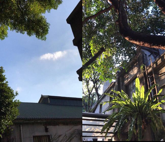 Cắt đứt quan hệ với đồng nghiệp, từ bỏ showbiz, Nhĩ Khang Châu Kiệt về quê trồng lúa, xây trang trại như lâu đài-3