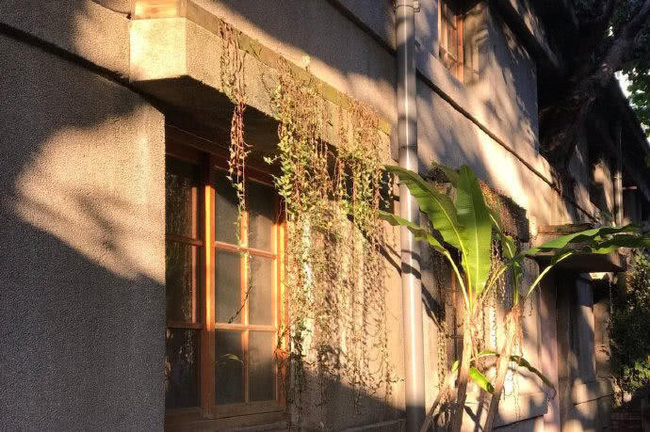 Cắt đứt quan hệ với đồng nghiệp, từ bỏ showbiz, Nhĩ Khang Châu Kiệt về quê trồng lúa, xây trang trại như lâu đài-4