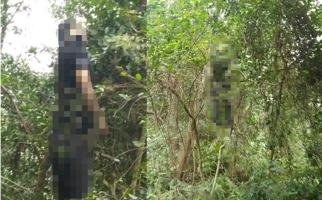 Phát hiện nam thanh niên treo cổ trên núi, bên cạnh có lá thư tuyệt mệnh-1