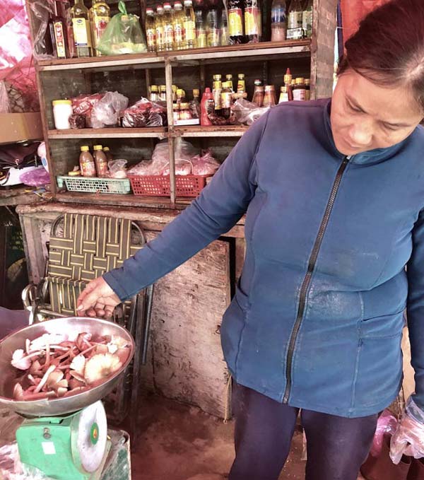 Hái đặc sản nấm Vua lộc trời cho ẵm ngay tiền triệu/ ngày-8