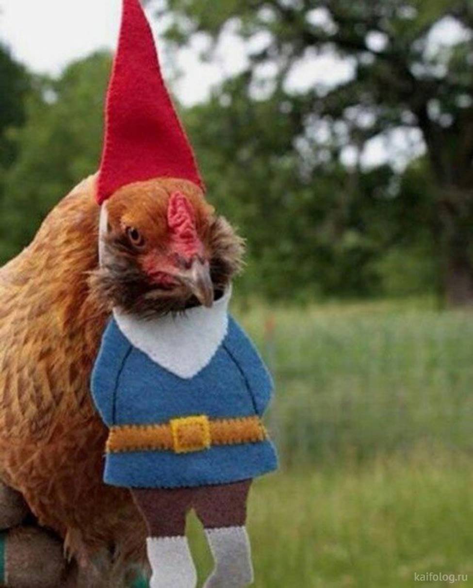 Cười ra nước mắt với những hình ảnh hài hước ngày Noel-8