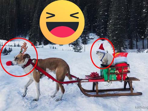 Mẹ nói thật đi, có ông già Noel trên đời không?-2