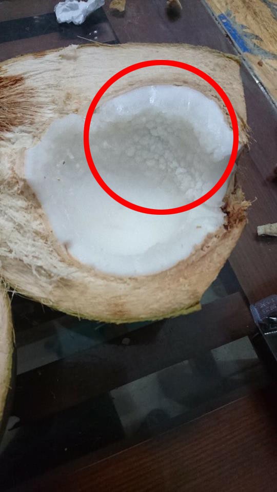 Bức ảnh tưởng bình thường bỗng trở thành ngòi nổ chiến tranh trong hội các bà nội trợ: Quả dừa này bị làm sao?-1