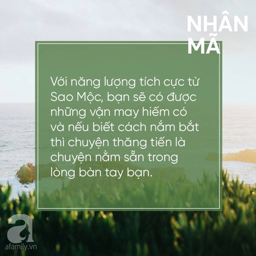 Đây là 4 cung Hoàng đạo sẽ công thành danh toại, sự nghiệp thăng tiến vượt bậc và bất ngờ trong năm Kỷ Hợi 2019-1