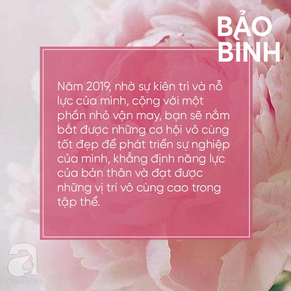 Đây là 4 cung Hoàng đạo sẽ công thành danh toại, sự nghiệp thăng tiến vượt bậc và bất ngờ trong năm Kỷ Hợi 2019-3