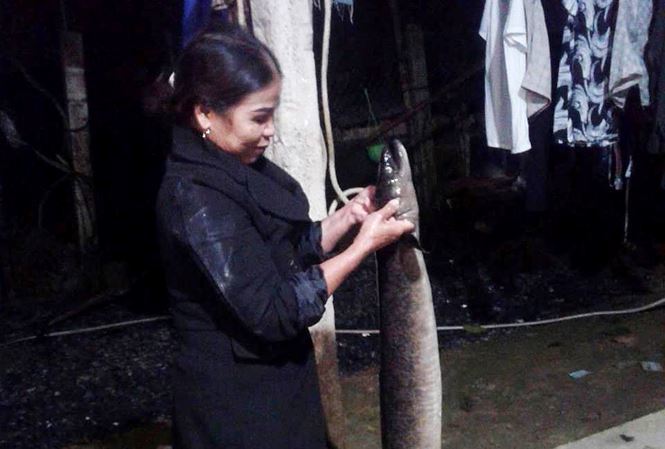 Bí ẩn miền Tây xứ Nghệ: Loài cá nặng hàng yến, dài cả mét-5