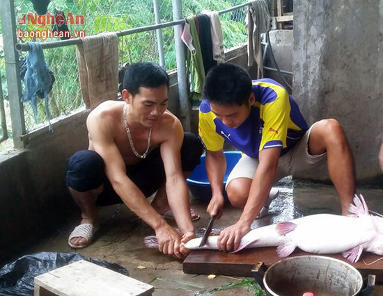 Bí ẩn miền Tây xứ Nghệ: Loài cá nặng hàng yến, dài cả mét-21