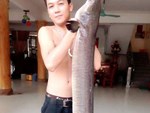Bắt được cá trắm khủng nặng 33kg, dài gần 1m hiếm có-3