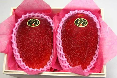 Những loại quả đắt tiền màu đỏ mà nhà giàu thường mua dịp Tết cho may mắn-1