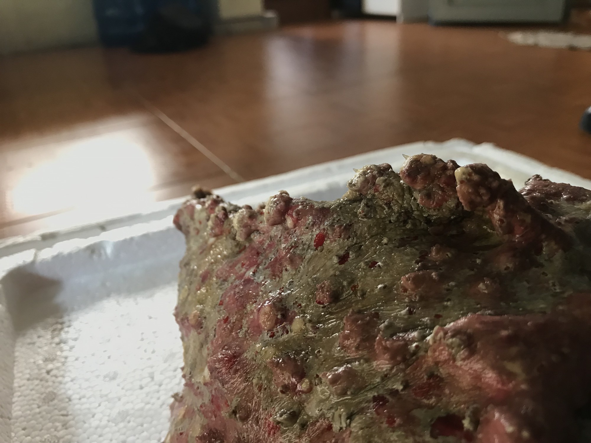 Cá mặt quỷ siêu xấu giá vẫn gần chục triệu đồng/con-3