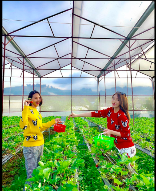 Xôn xao thông tin Hoa hậu Kỳ Duyên bị tung bằng chứng hẹn hò” với nữ siêu mẫu nổi tiếng-2