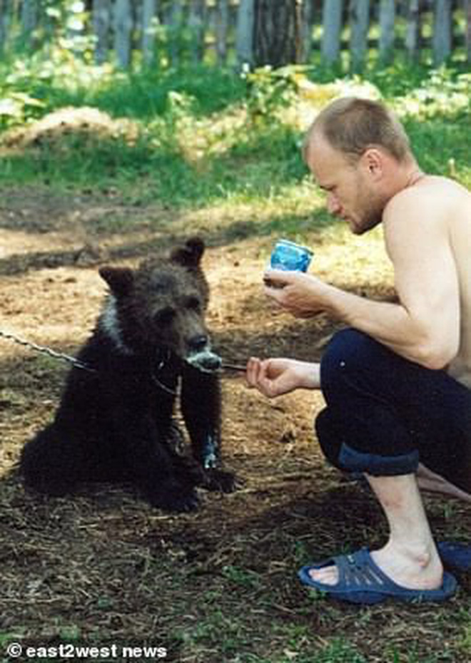 Nga: Chú thợ săn nuôi dưỡng gấu con từ tấm bé, lớn lên gấu xổng chuồng rồi ăn thịt chủ luôn-2