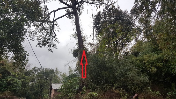 Biệt phủ 4000 m2 của vị Tổng đốc giàu có một thời ở Lạng Sơn-14