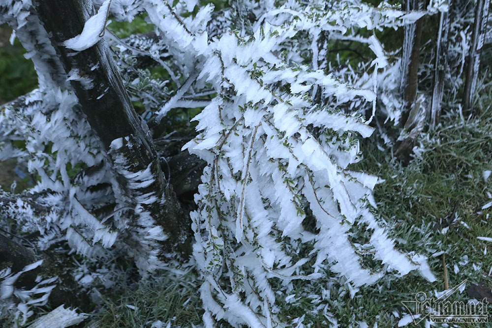 Tết dương lịch: Rét kỷ lục trong 10 năm, Hà Nội dưới 10 độ-1