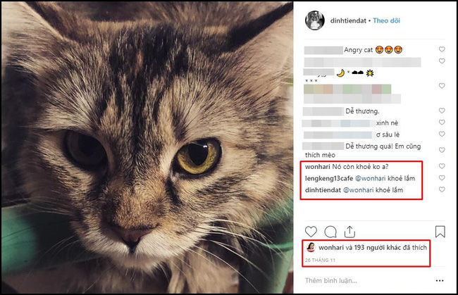 Đây là lý do khiến Hari Won hỏi thăm Tiến Đạt trên trang cá nhân sau 3 năm chia tay-1