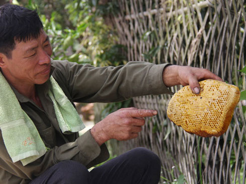 Liều mạng lấy thứ bán 4 triệu/kg, sẩy chân là tan xương nát thịt-14