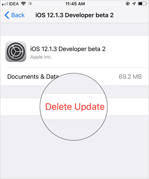Cách hủy ngang quá trình cập nhật iOS trên iPhone, iPad-6