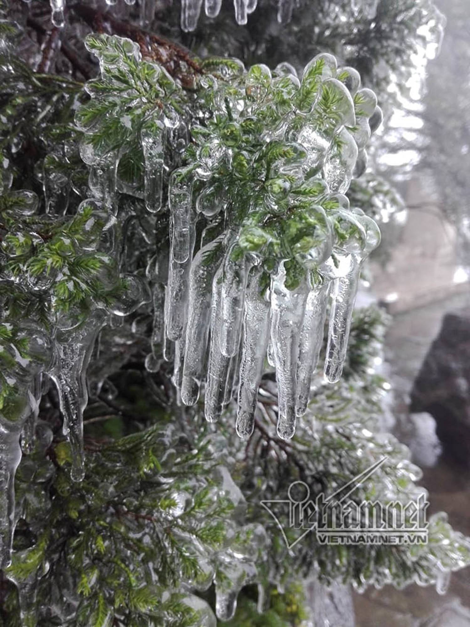 Mẫu Sơn âm 0,5 độ C, băng tuyết phủ kín ô tô-4