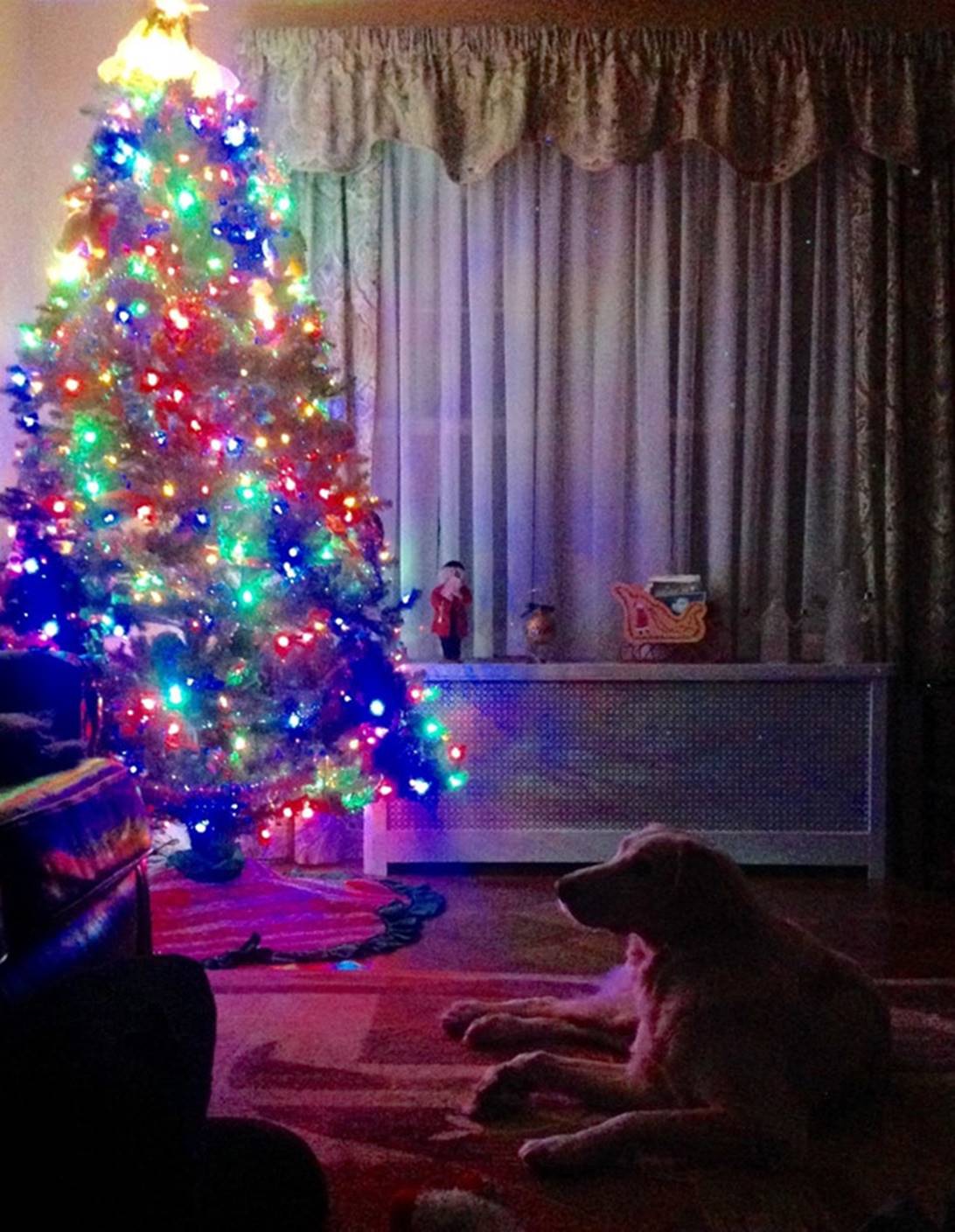 16 bức ảnh khiến bạn thấy cuộc sống này vẫn rất đáng yêu-2