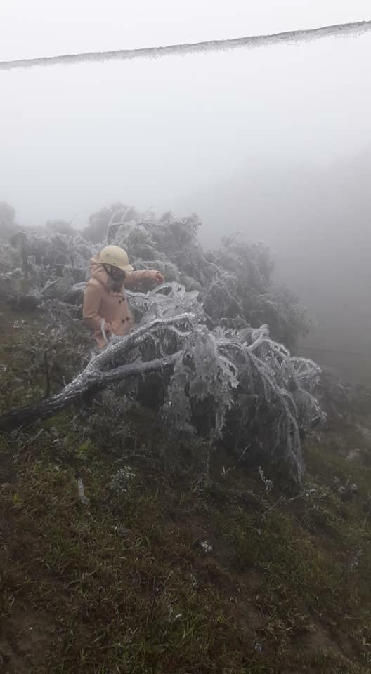 Hình ảnh băng tuyết trên đỉnh Mẫu Sơn ngày cuối năm liên tục được dân mạng chia sẻ, cập nhật-1