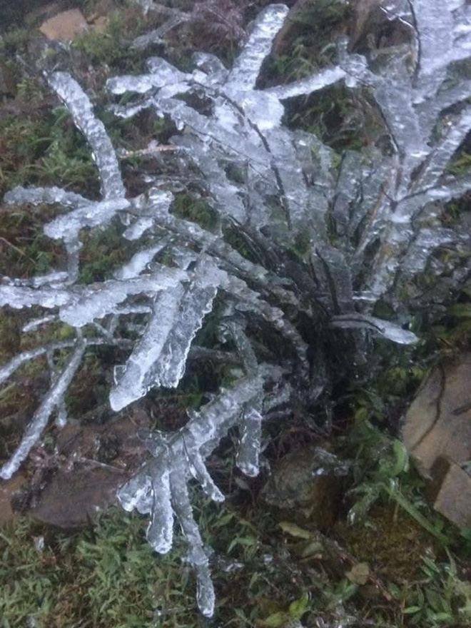 Hình ảnh băng tuyết trên đỉnh Mẫu Sơn ngày cuối năm liên tục được dân mạng chia sẻ, cập nhật-2