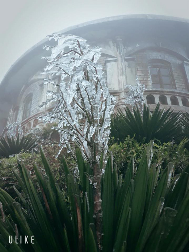 Hình ảnh băng tuyết trên đỉnh Mẫu Sơn ngày cuối năm liên tục được dân mạng chia sẻ, cập nhật-3