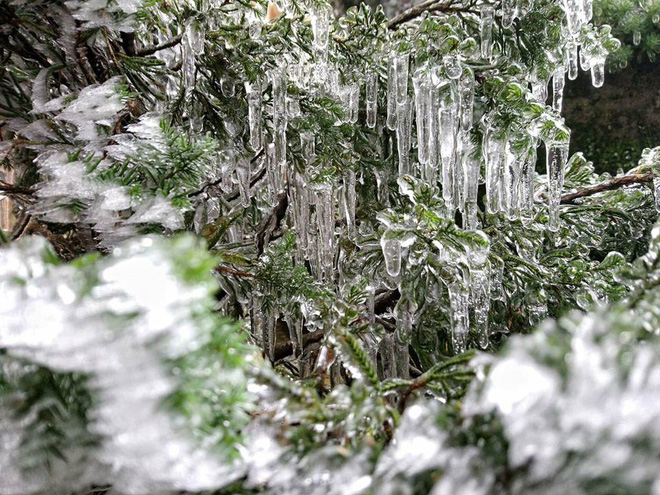 Hình ảnh băng tuyết trên đỉnh Mẫu Sơn ngày cuối năm liên tục được dân mạng chia sẻ, cập nhật-4