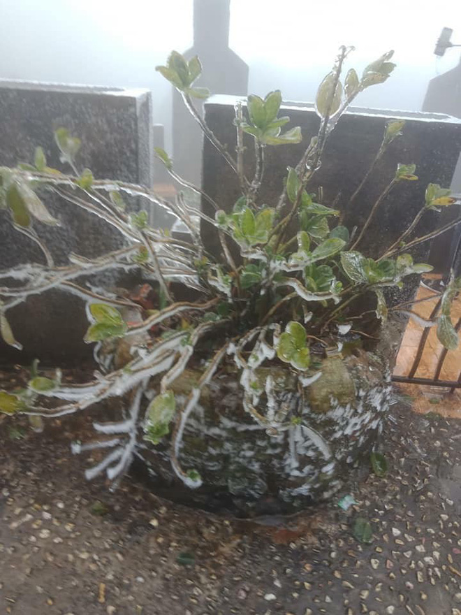 Hình ảnh băng tuyết trên đỉnh Mẫu Sơn ngày cuối năm liên tục được dân mạng chia sẻ, cập nhật-8