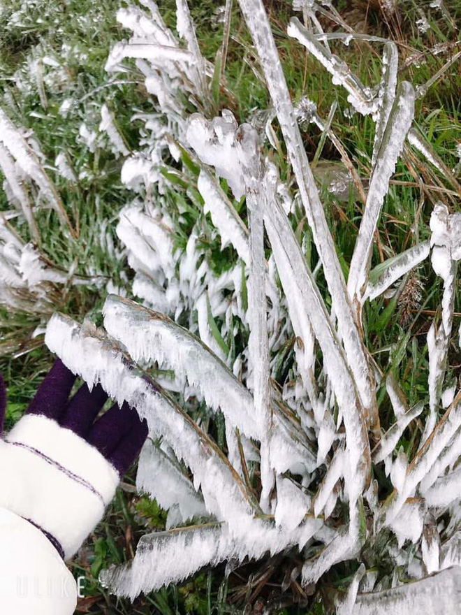 Hình ảnh băng tuyết trên đỉnh Mẫu Sơn ngày cuối năm liên tục được dân mạng chia sẻ, cập nhật-7