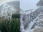 Clip: Tuyết bất ngờ rơi trắng trời trên đỉnh Fansipan-3