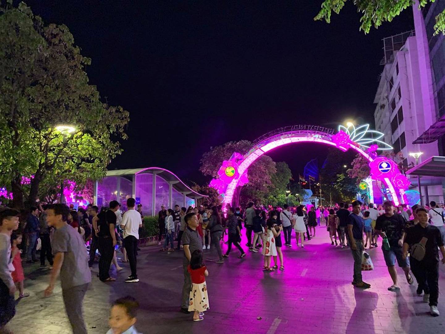 Rộn ràng đón năm mới 2019 khắp 3 miền-32