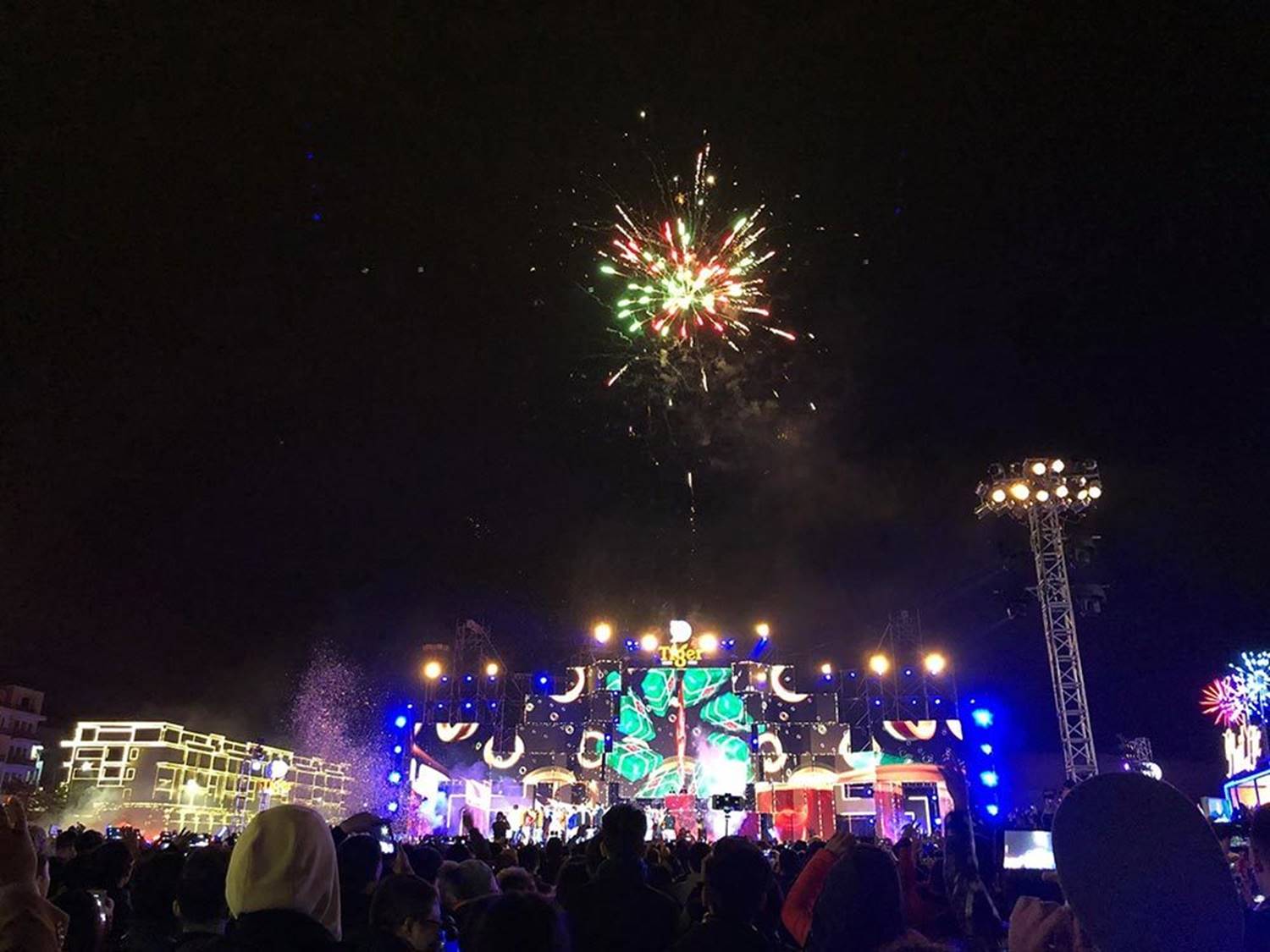 Rộn ràng đón năm mới 2019 khắp 3 miền-45