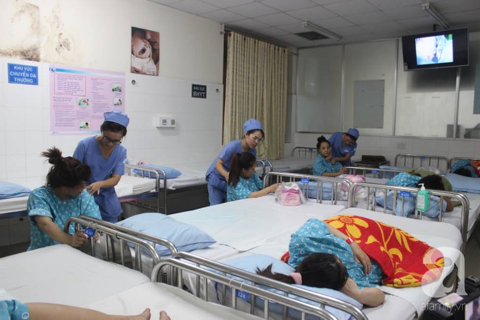 Vừa chào đời giờ đầu tiên của năm 2019, em bé heo vàng ở Cần Thơ đã vẫy tay chào bác sĩ-2