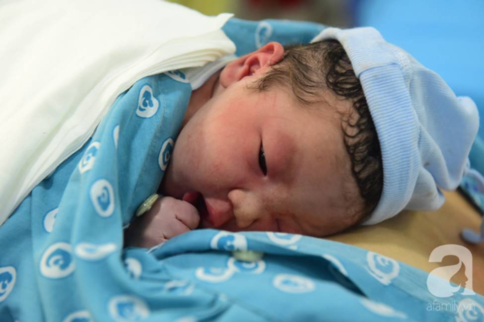 Vừa chào đời giờ đầu tiên của năm 2019, em bé heo vàng ở Cần Thơ đã vẫy tay chào bác sĩ-5
