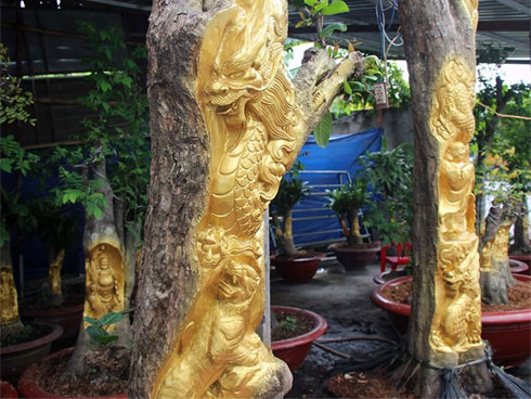 Thực hư chuyện gà Đông Tảo giá vài chục triệu đồng/con làm quà Tết-11