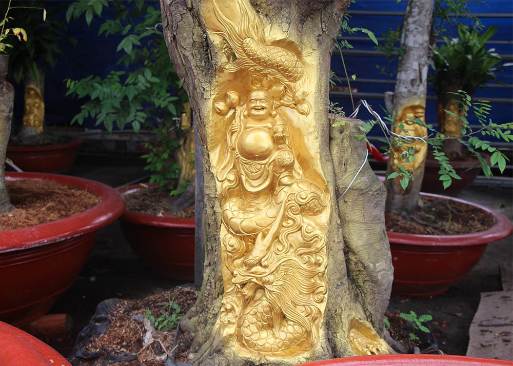 Chuyện lạ miền Tây: Quan Âm Bồ Tát cưỡi rồng vàng hiện hình trên cây khế-8