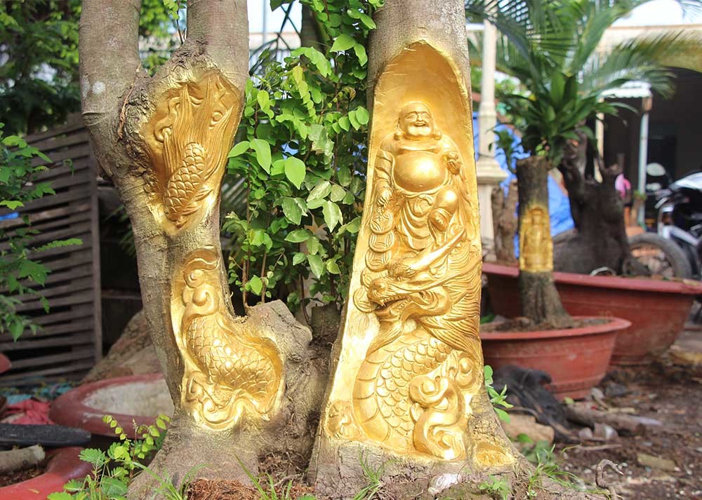 Chuyện lạ miền Tây: Quan Âm Bồ Tát cưỡi rồng vàng hiện hình trên cây khế-12