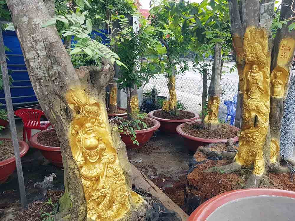 Chuyện lạ miền Tây: Quan Âm Bồ Tát cưỡi rồng vàng hiện hình trên cây khế-6