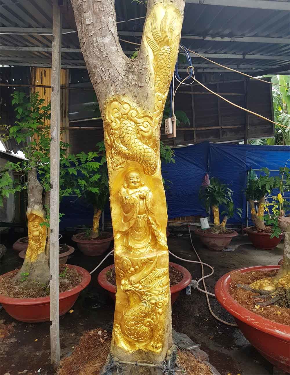 Chuyện lạ miền Tây: Quan Âm Bồ Tát cưỡi rồng vàng hiện hình trên cây khế-3