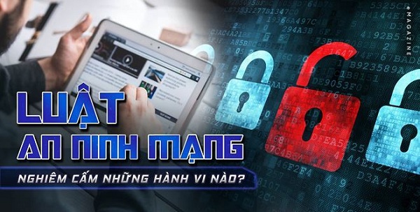 Vi phạm Luật An ninh mạng, người dùng có thể bị truy cứu trách nhiệm hình sự?-1