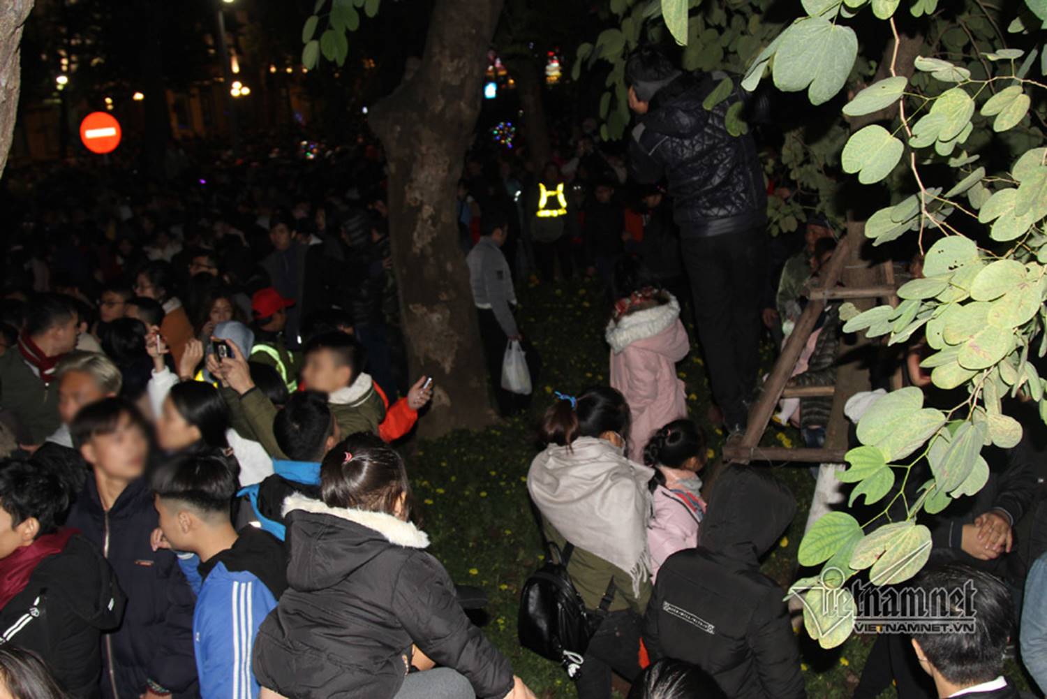 Sửng sốt vườn hoa hồ Gươm sáng nay bị san trụi sau giao thừa-5